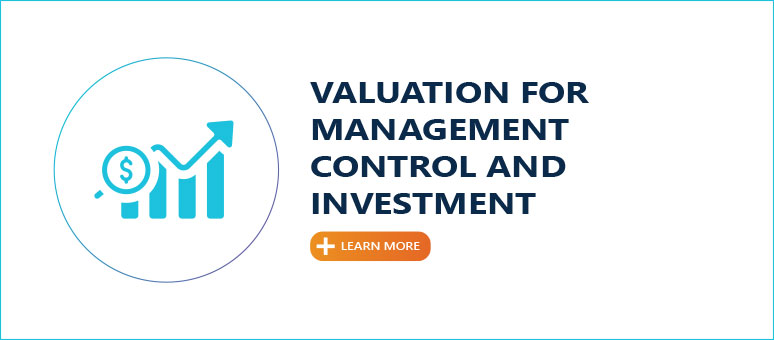 VALUATION FOR MANAGEMENT CONTROL AND INVESTMENT DECISIONS