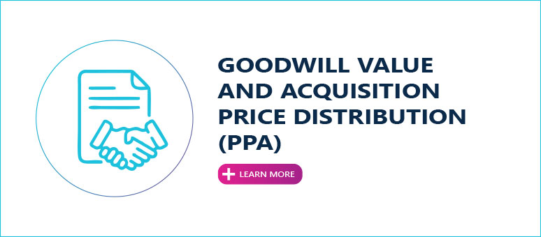 GOODWILL VALUE AND ACQUISITION PRICE DISTRIBUTION (PPA)